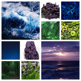 **SPOILERS** Daydream Believer Unwrapped 12-pack Mini Skein Set Assimilate merino/yak/nylon Yarn