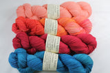 4-skein Unafraid shimmer Shawl Set CSMG