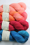 4-skein Unafraid shimmer Shawl Set CSMG