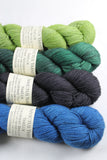4-skein YakLux merino/yak/silk Shawl Set WNTB
