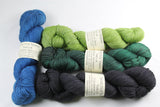 4-skein YakLux merino/yak/silk Shawl Set WNTB