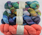 4-skein Unafraid shimmer Shawl Set BOBT