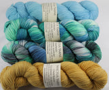 4-skein Unafraid shimmer Shawl Set CASD