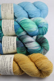 4-skein Unafraid shimmer Shawl Set CASD