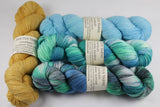 4-skein Unafraid shimmer Shawl Set CASD
