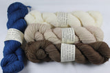 4-skein MoMF (merino/nylon) Shawl Set NHBB