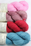 4-skein Reward (merino/silk) Shawl Set BBMO