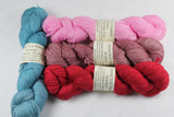4-skein Reward (merino/silk) Shawl Set BBMO