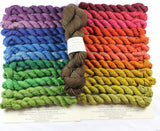**SPOILERS** Homecoming Queen Unwrapped 12-pack Mini Skein Set Assimilate merino/yak/nylon Yarn