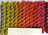 **SPOILERS** Homecoming Queen Unwrapped 12-pack Mini Skein Set Assimilate merino/yak/nylon Yarn