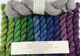 **SPOILERS** Daydream Believer Unwrapped 12-pack Mini Skein Set Assimilate merino/yak/nylon Yarn