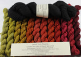 **SPOILERS** Homecoming Queen Unwrapped 12-pack Mini Skein Set Assimilate merino/yak/nylon Yarn