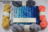 Tahoe 12-pack Mini Skein Set Unafraid Shimmer Yarn