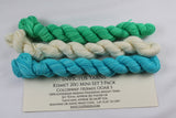 Hermie OOAK5 3-pack Gnome Mini Skein Set Kismet Fingering Weight Yarn