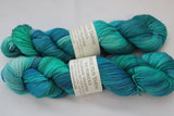 Valkyrie Victorious Soar Scarf Kit 100% superwash merino fingering weight yarn