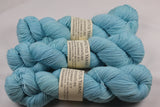 Icy Adventure merino/nylon sock yarn