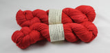 MicroBus Adventures Beyond MCN fingering weight sock yarn