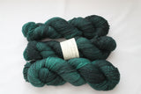 Glasgow Kiss Unafraid Superwash Merino/Nylon/Stellina fingering weight shimmer sock yarn