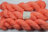 Zing Adventure merino/nylon sock yarn
