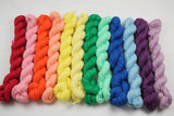 Ultimate Rainbow Victorious 12 skein Mini Kit fingering weight yarn