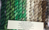 Shetland: Isles 12 pack Mini Skein Set Kismet Fingering Weight Yarn