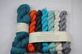 Another Koi in the Pond Set Unafraid Shimmer Yarn