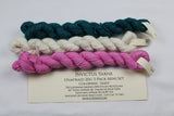 Sassy 3-Pack Gnome Mini Skein Set Unafraid Shimmer Yarn
