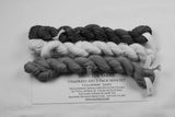 Sassy 3-Pack Gnome Mini Skein Set Unafraid Shimmer Yarn