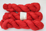 MicroBus Adventures Beyond MCN fingering weight sock yarn