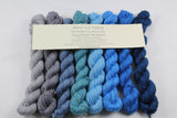 Wonder Set of 8 Mini Skeins Victorious fingering weight yarn