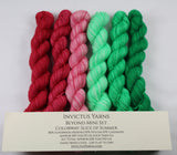 Slice of Summer Beyond MCN Mini Kit fingering weight yarn