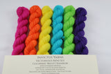 Bright Rainbow Victorious Mini Kit fingering weight yarn