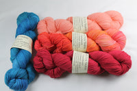 4-skein Unafraid shimmer Shawl Set CSMG