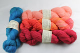 4-skein Unafraid shimmer Shawl Set CSMG