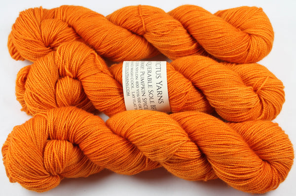 Pumpkin Spice Unconquerable Sole BFL SW BFL/nylon fingering weight sock yarn