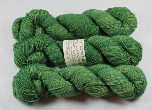 Avocado Unconquerable Sole BFL SW BFL/nylon fingering weight sock yarn