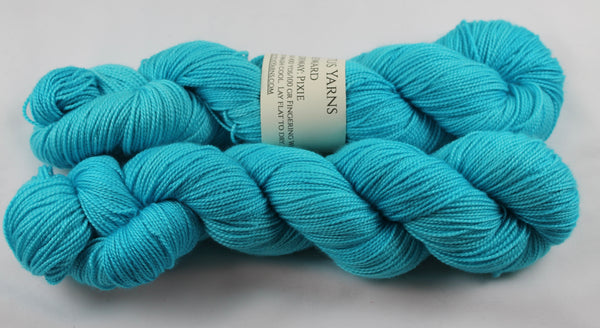 Pixie Reward 80/20 merino/silk fingering weight sock yarn