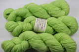 Pucker Unconquerable Sole BFL SW BFL/nylon fingering weight sock yarn