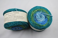 Murky Waters Segue Unbowed DK Gradient yarn