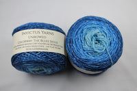 The Blues Segue Unbowed DK Gradient yarn