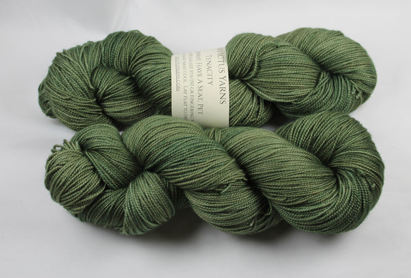 Have a Seat, Pet Tenacity 80/20 merino/silk fingering weight yarn shawl length skein extra length