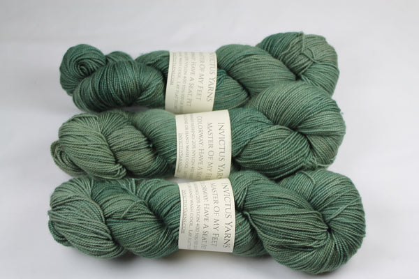 Have a Seat, Pet Master of My Feet  merino/nylon fingering weight sock yarn