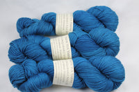 Poseidon Unconquerable Sole BFL SW BFL/nylon fingering weight sock yarn