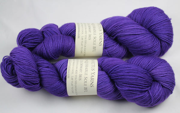 Iris Unconquerable Sole BFL SW BFL/nylon fingering weight sock yarn