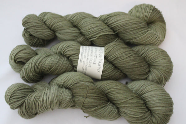 Olive Adventure merino/nylon sock yarn