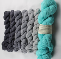 Greys/Just Beachy Victorious Gray Area Shawl Kit fingering weight yarn