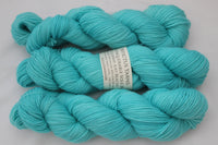 Just Beachy Unconquerable Sole BFL SW BFL/nylon fingering weight sock yarn