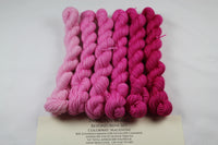 Magentas Beyond MCN Mini Kit fingering weight yarn