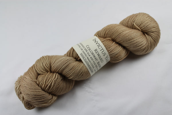 Basket Reward 80/20 merino/silk fingering weight sock yarn