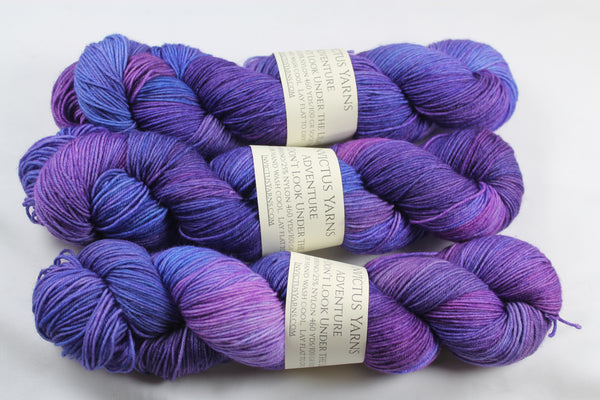 Don't Look Under the Lilacs Adventure merino/nylon sock yarn